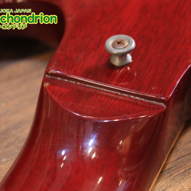 ガンガン弾きたい方にお勧め！ラージガードのSG STANDARD！