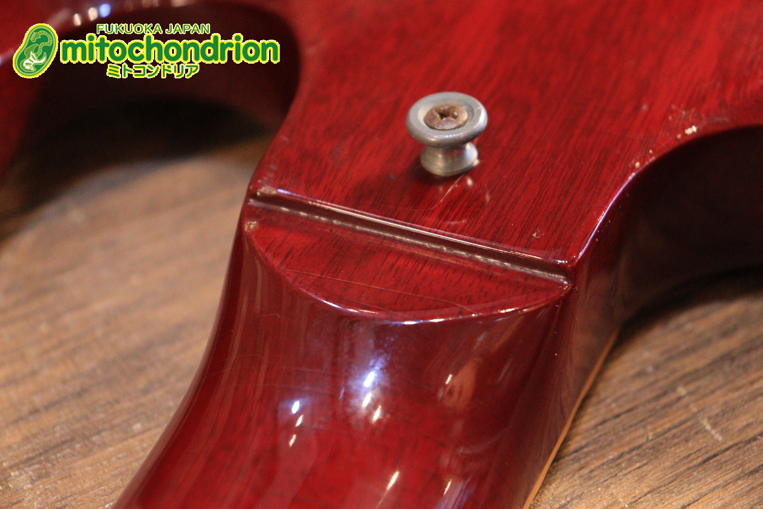 ガンガン弾きたい方にお勧め！ラージガードのSG STANDARD！