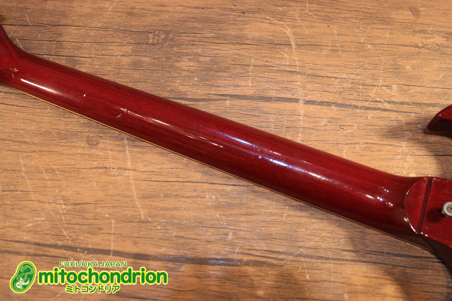 ガンガン弾きたい方にお勧め！ラージガードのSG STANDARD！