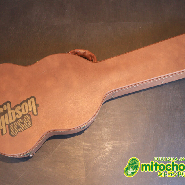 ガンガン弾きたい方にお勧め！ラージガードのSG STANDARD！