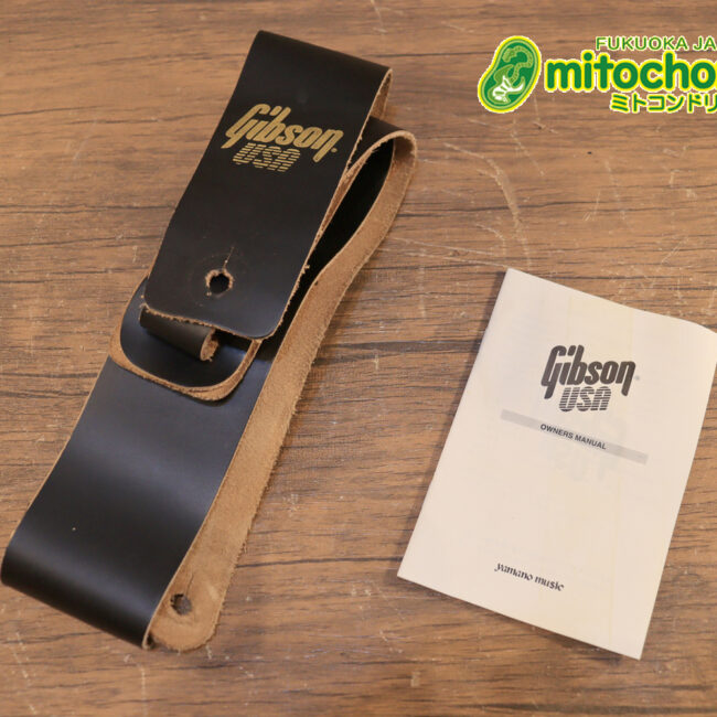 ガンガン弾きたい方にお勧め！ラージガードのSG STANDARD！