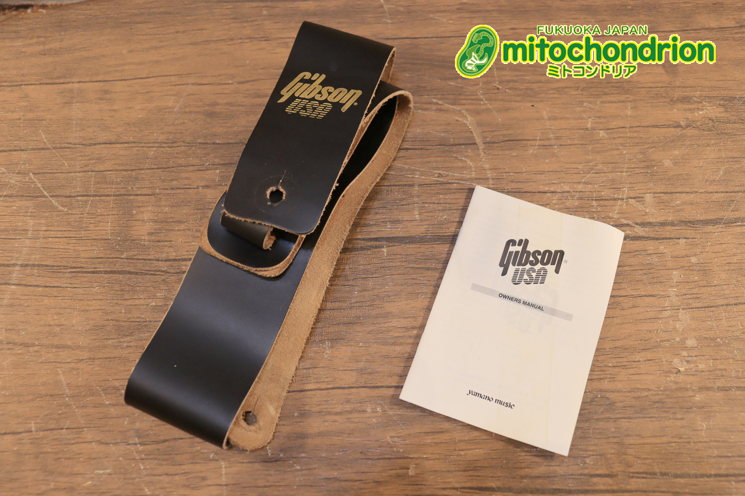 ガンガン弾きたい方にお勧め！ラージガードのSG STANDARD！