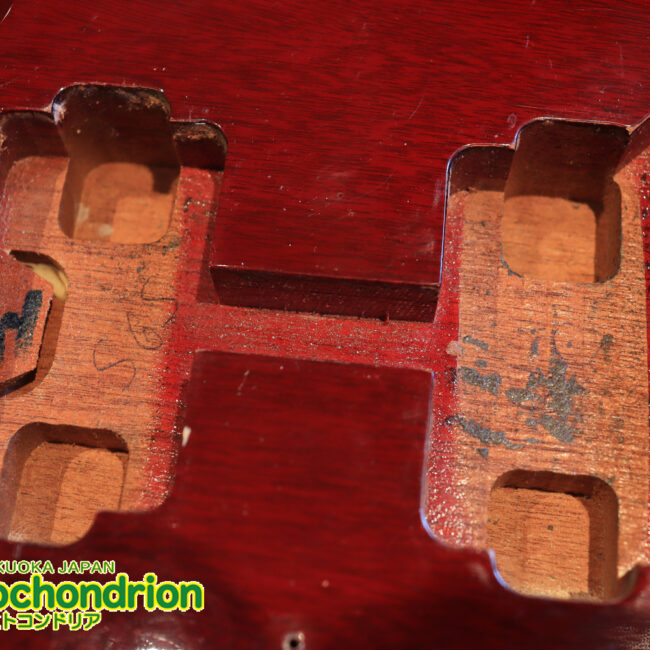 ガンガン弾きたい方にお勧め！ラージガードのSG STANDARD！