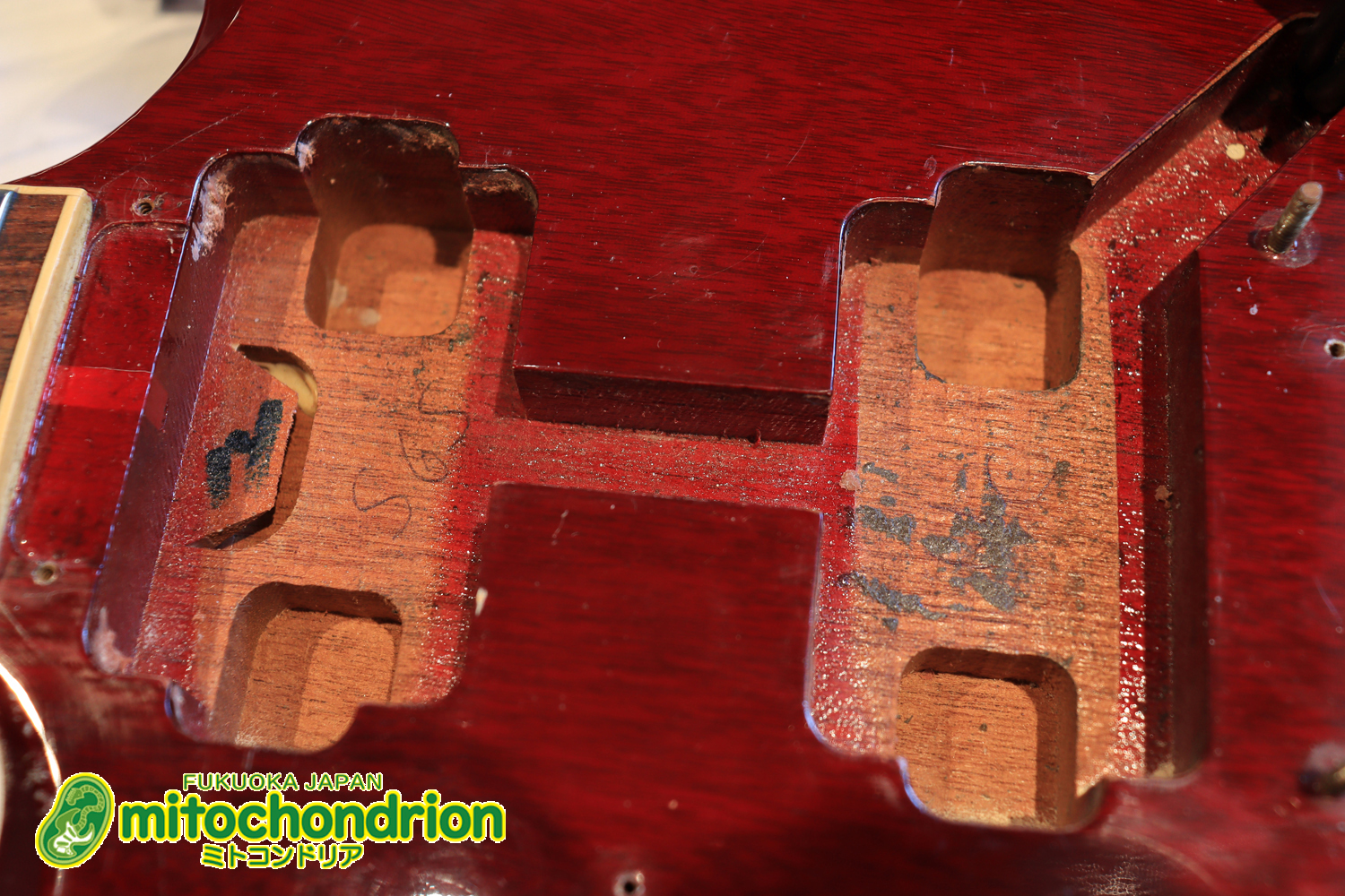 ガンガン弾きたい方にお勧め！ラージガードのSG STANDARD！