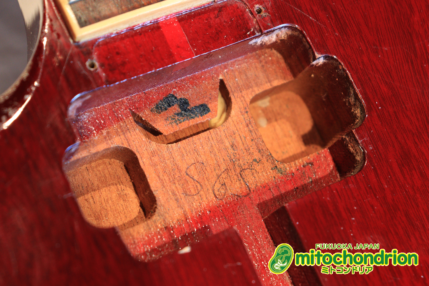 ガンガン弾きたい方にお勧め！ラージガードのSG STANDARD！