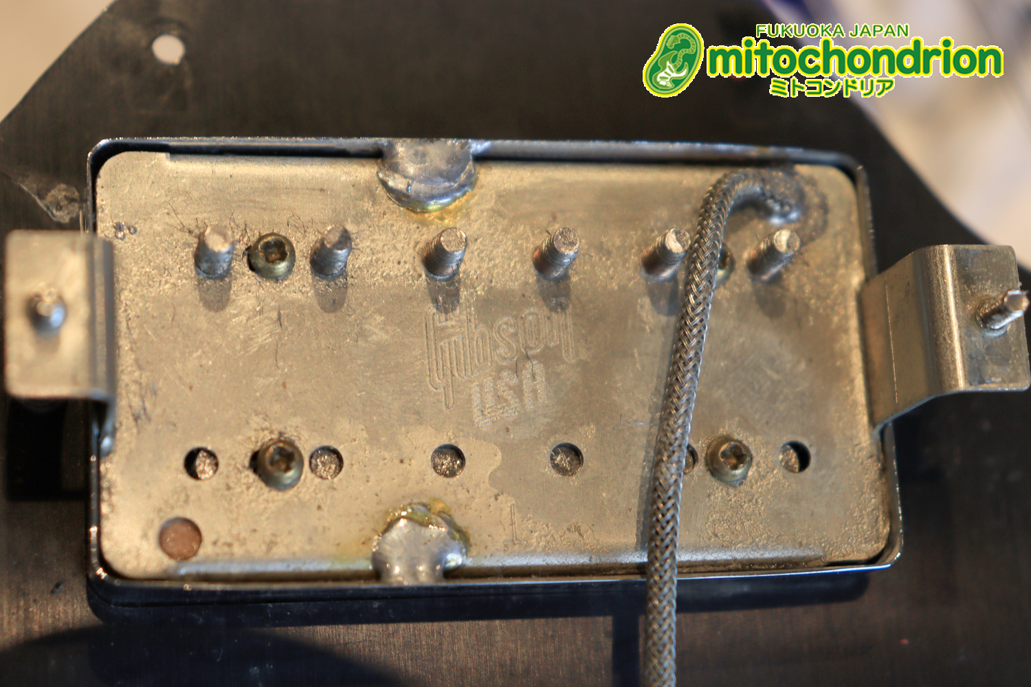 ガンガン弾きたい方にお勧め！ラージガードのSG STANDARD！