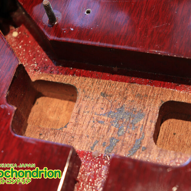 ガンガン弾きたい方にお勧め！ラージガードのSG STANDARD！