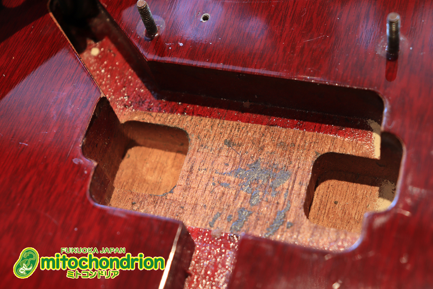 ガンガン弾きたい方にお勧め！ラージガードのSG STANDARD！