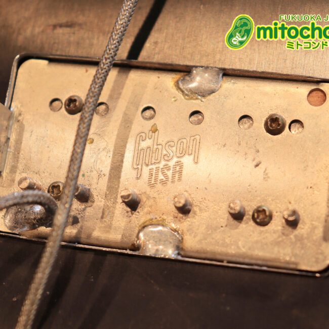 ガンガン弾きたい方にお勧め！ラージガードのSG STANDARD！