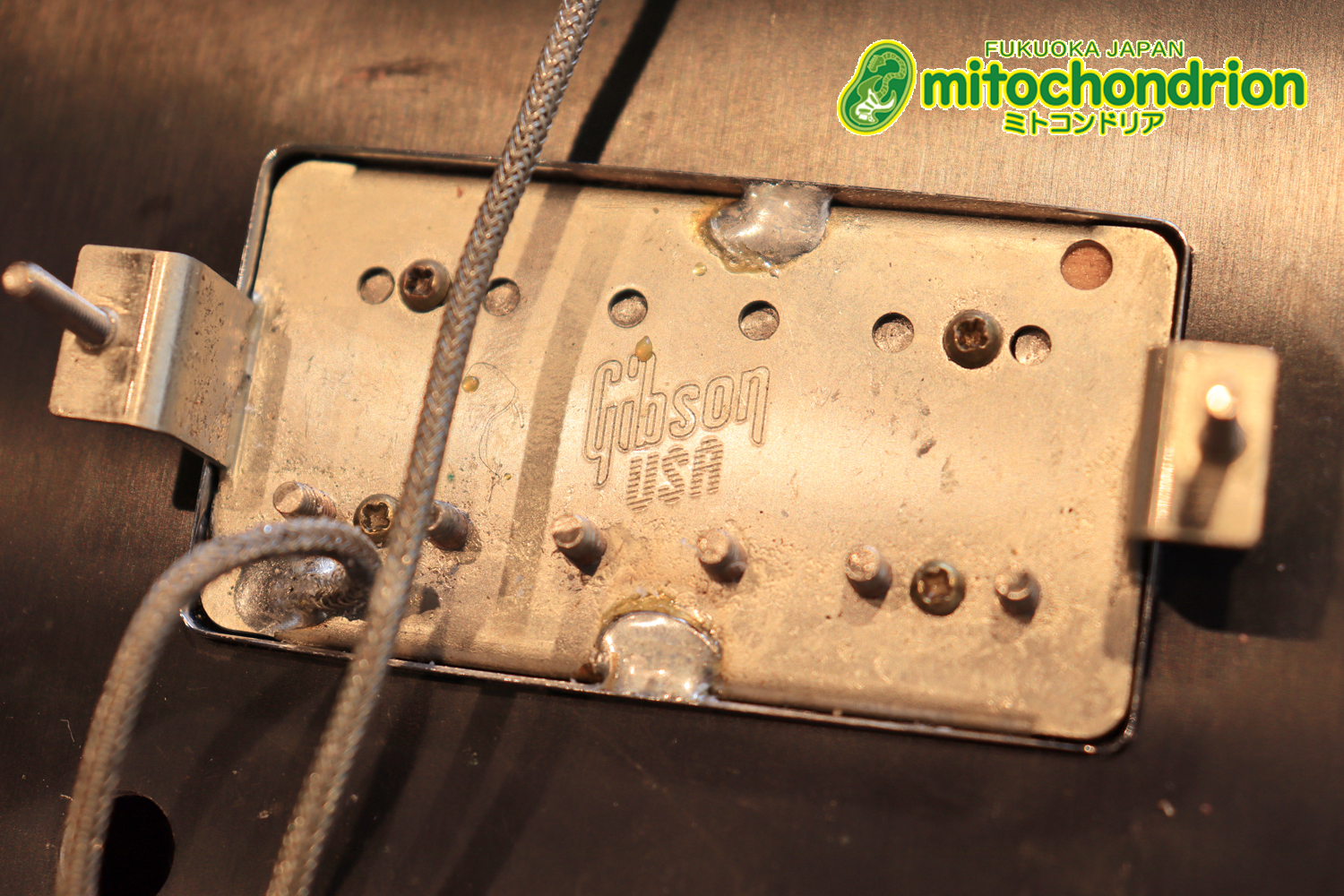 ガンガン弾きたい方にお勧め！ラージガードのSG STANDARD！