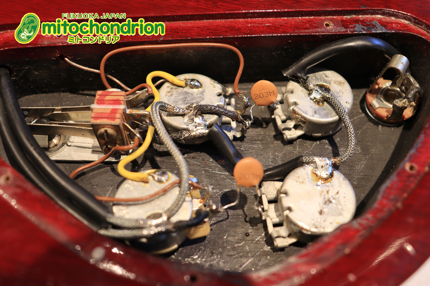 ガンガン弾きたい方にお勧め！ラージガードのSG STANDARD！