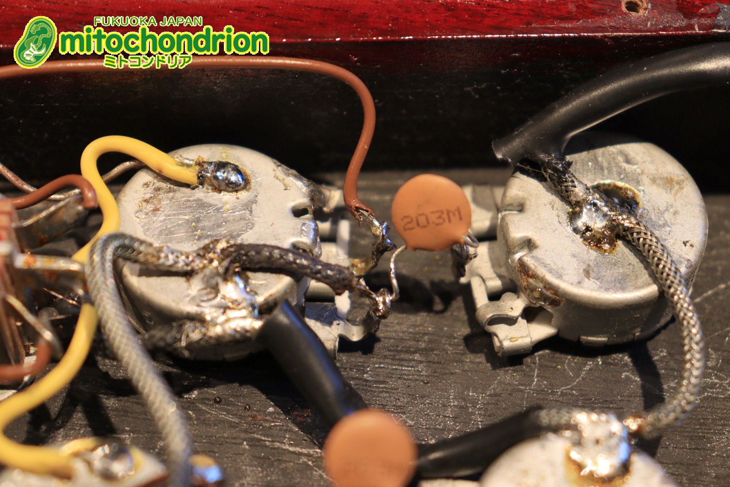 ガンガン弾きたい方にお勧め！ラージガードのSG STANDARD！