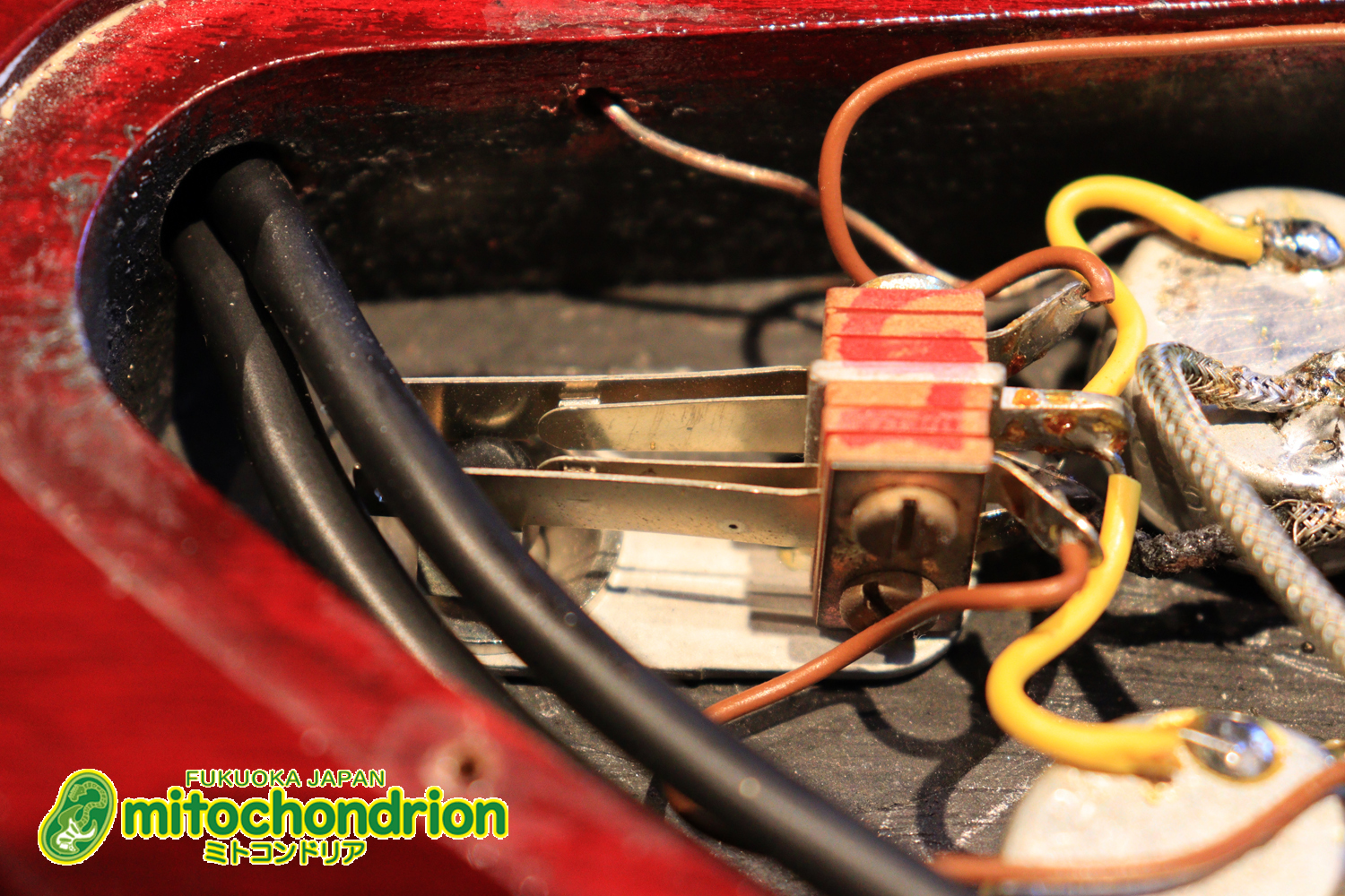 ガンガン弾きたい方にお勧め！ラージガードのSG STANDARD！