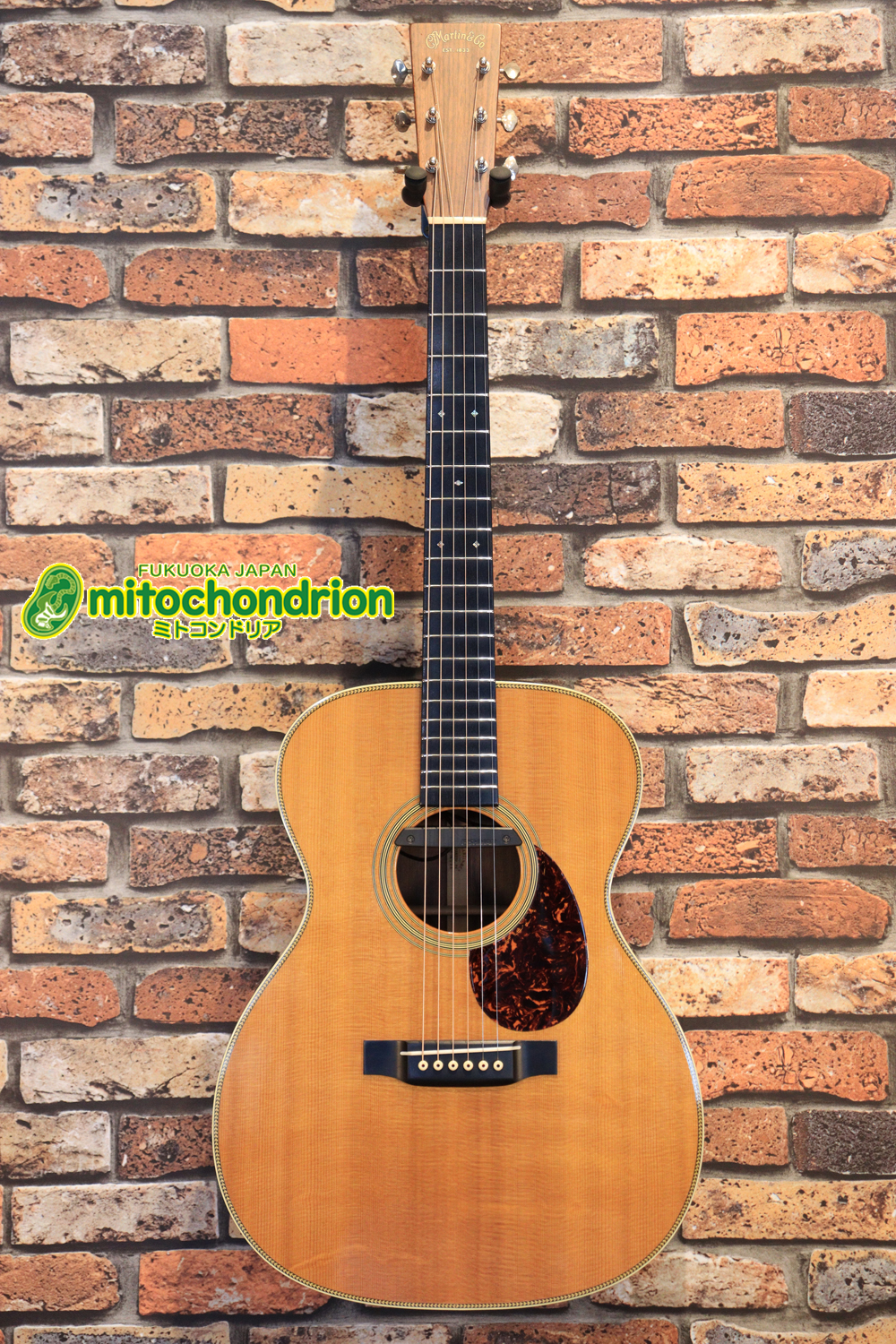 フィッシュマンのピックアップを搭載したOM28V！