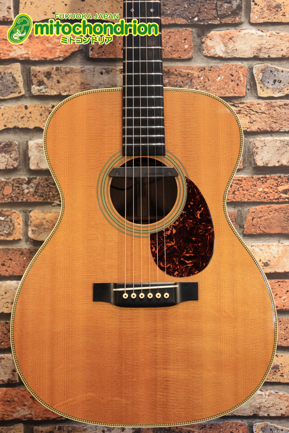 フィッシュマンのピックアップを搭載したOM28V！