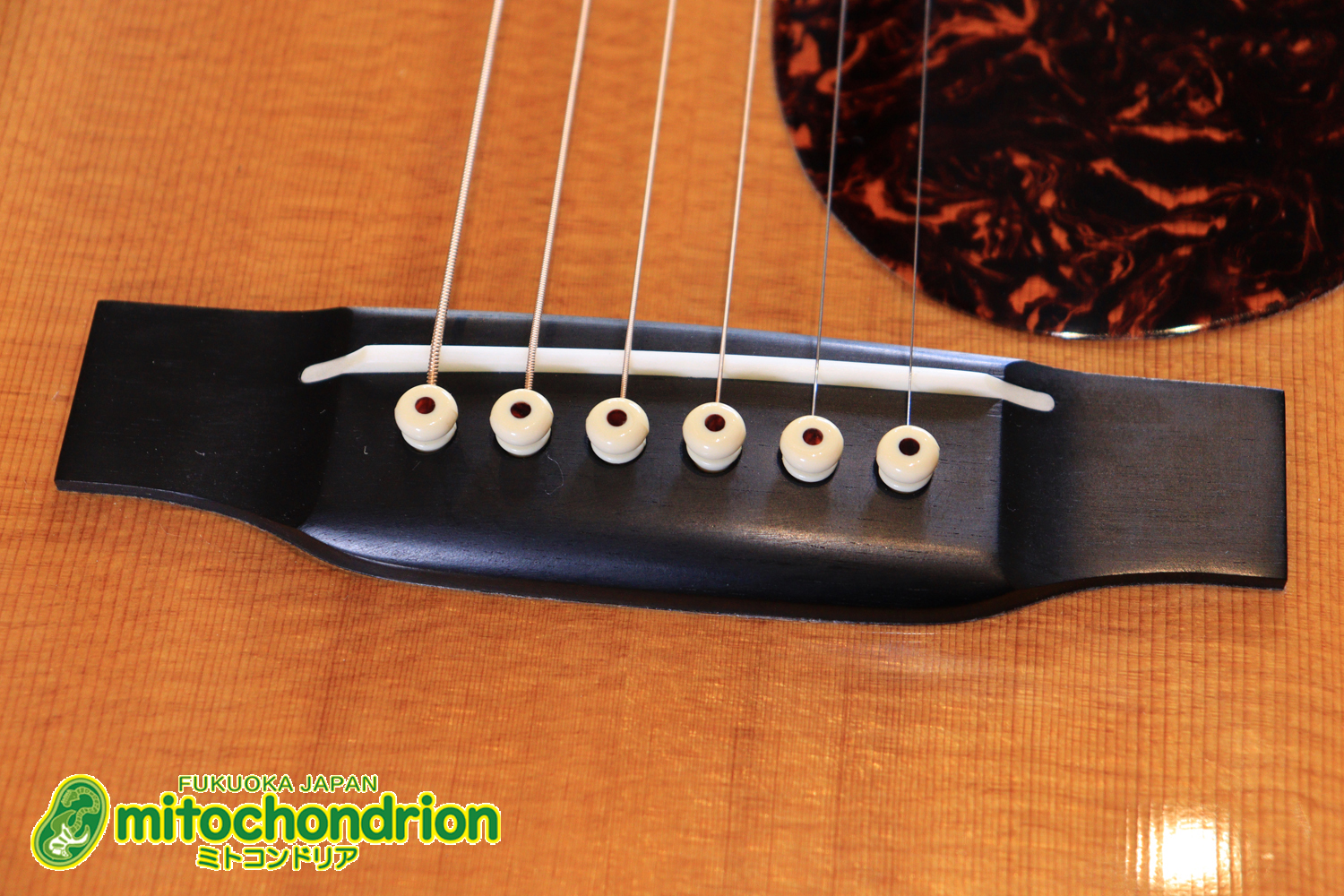 フィッシュマンのピックアップを搭載したOM28V！