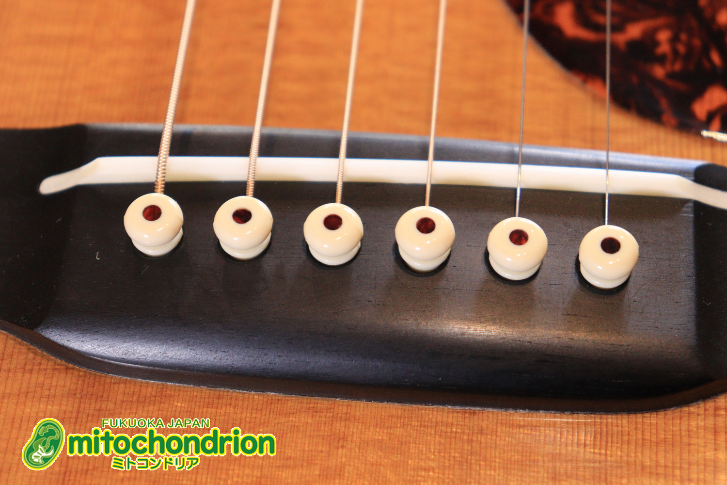 フィッシュマンのピックアップを搭載したOM28V！