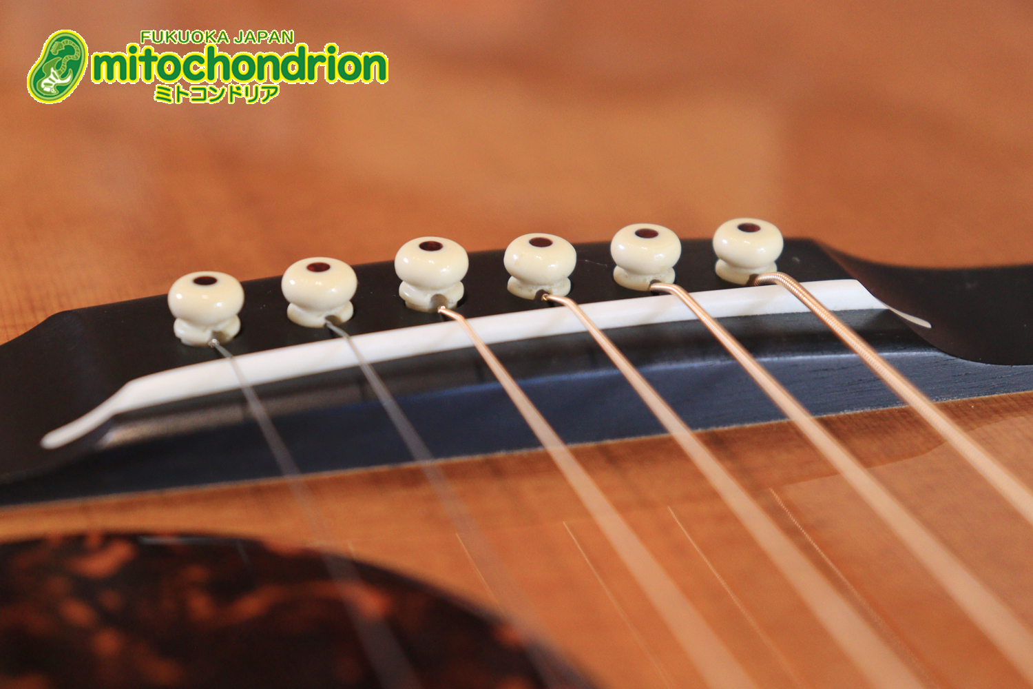 フィッシュマンのピックアップを搭載したOM28V！