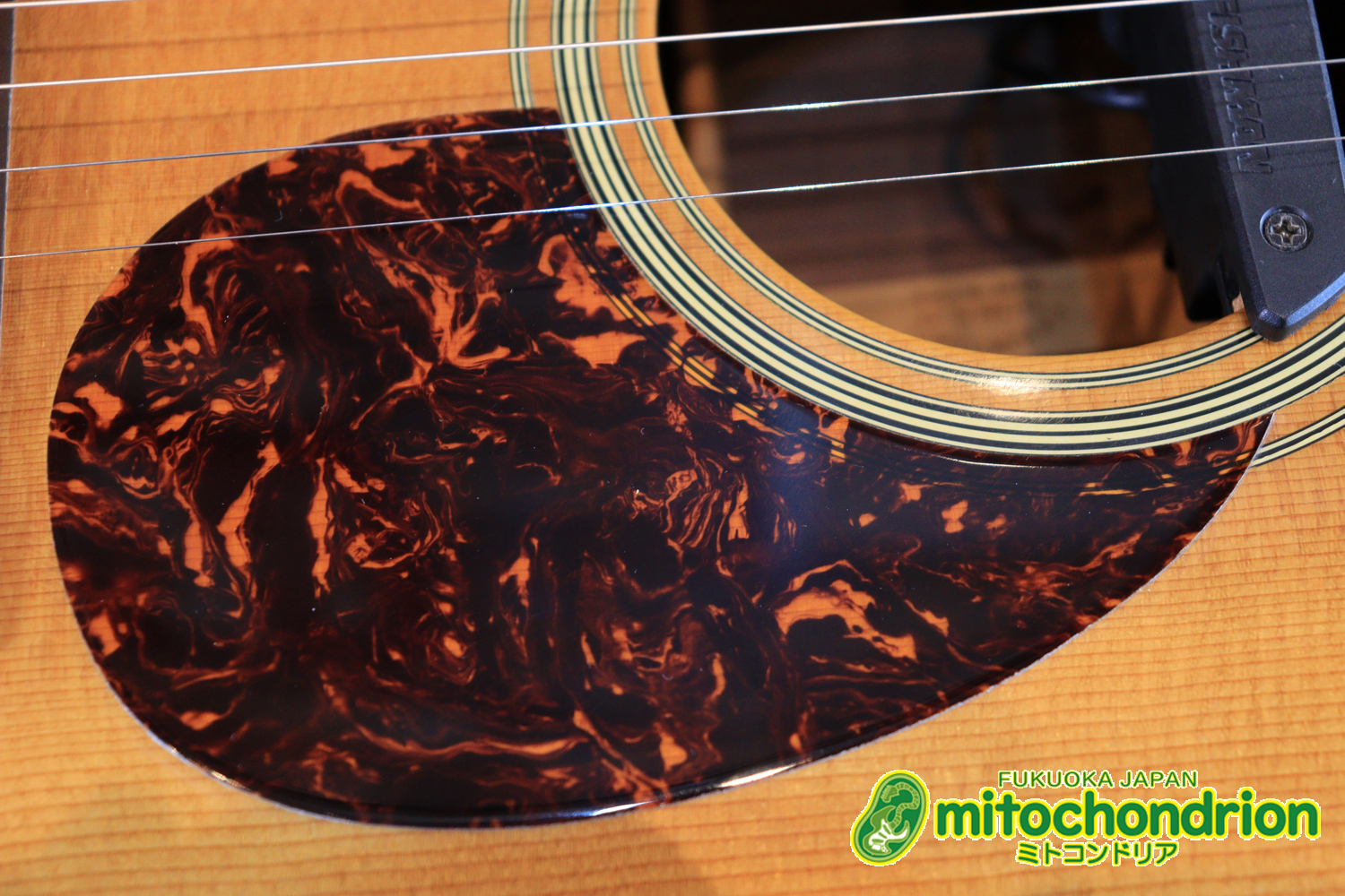 フィッシュマンのピックアップを搭載したOM28V！