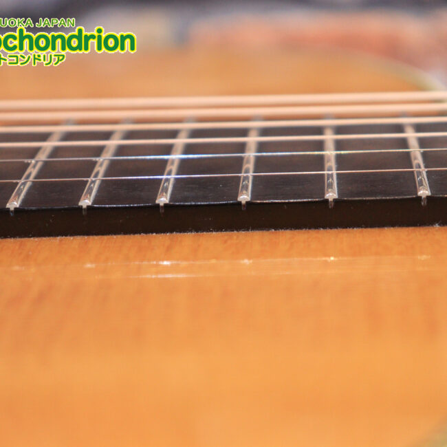 フィッシュマンのピックアップを搭載したOM28V！