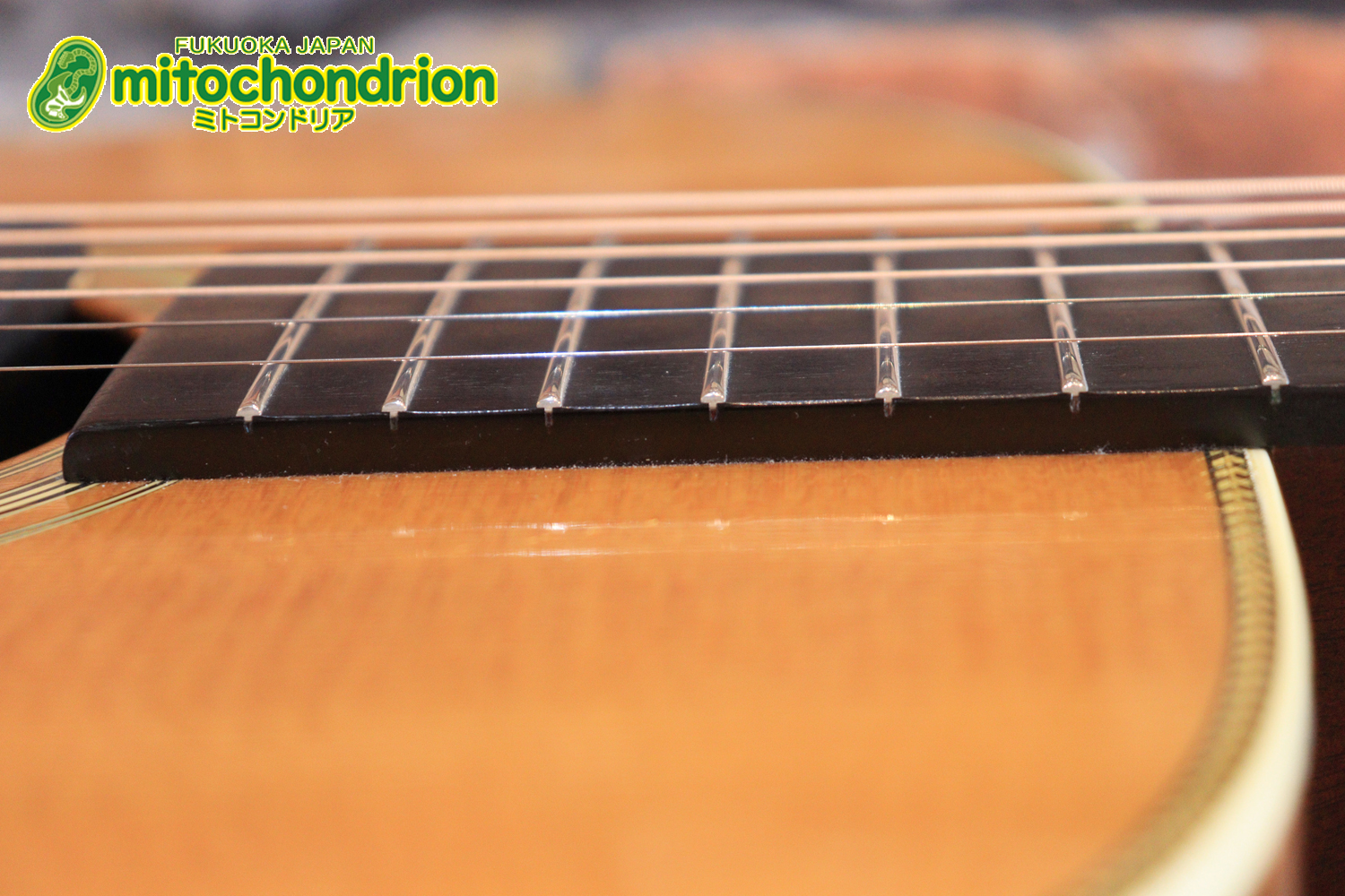 フィッシュマンのピックアップを搭載したOM28V！