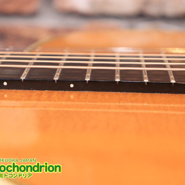 フィッシュマンのピックアップを搭載したOM28V！