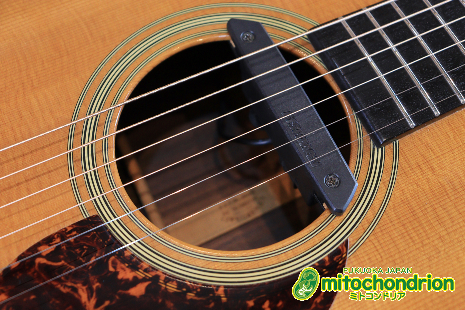 フィッシュマンのピックアップを搭載したOM28V！