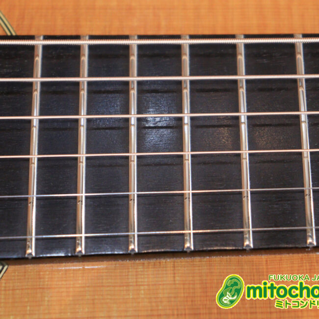 フィッシュマンのピックアップを搭載したOM28V！