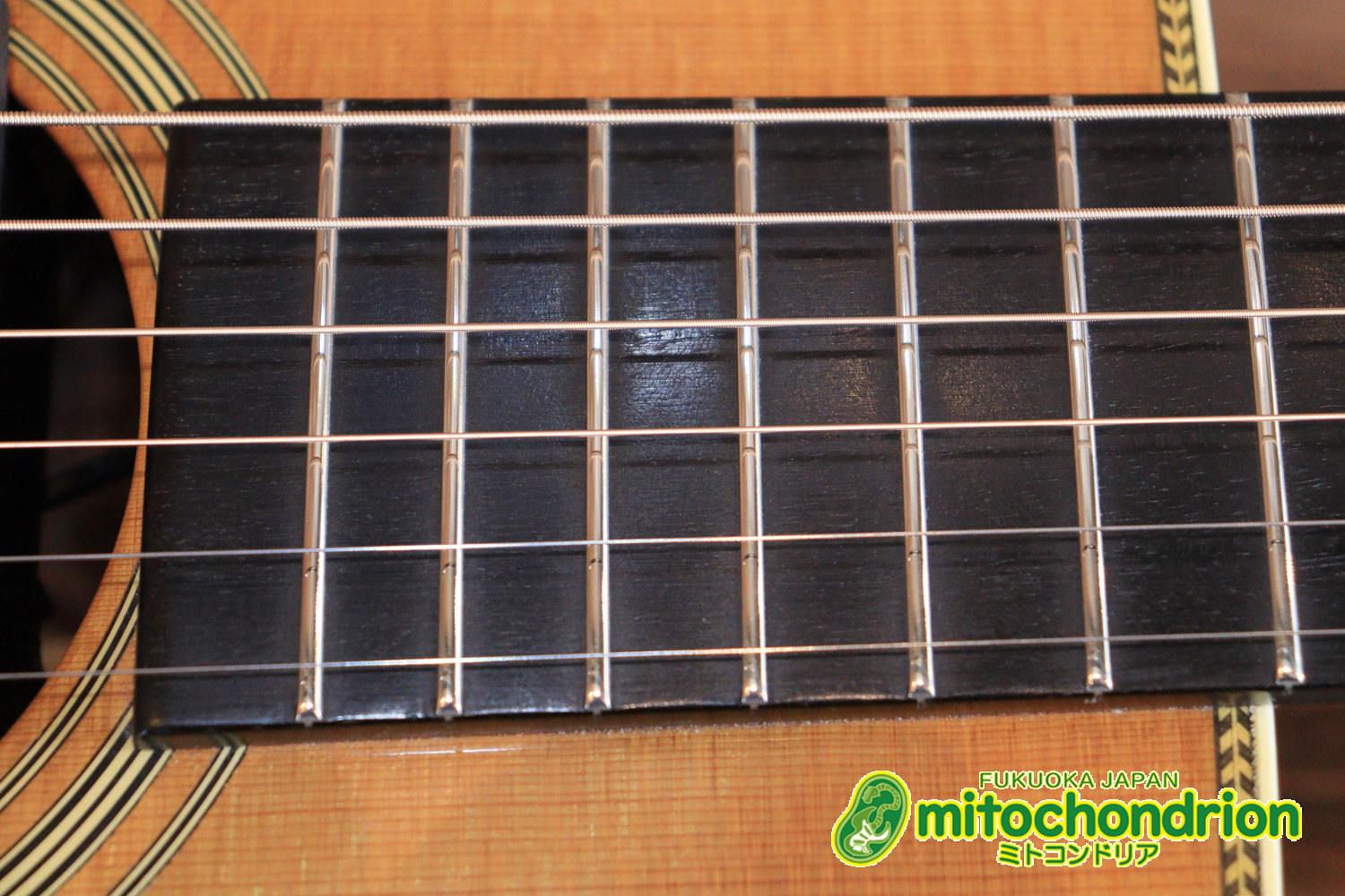 フィッシュマンのピックアップを搭載したOM28V！