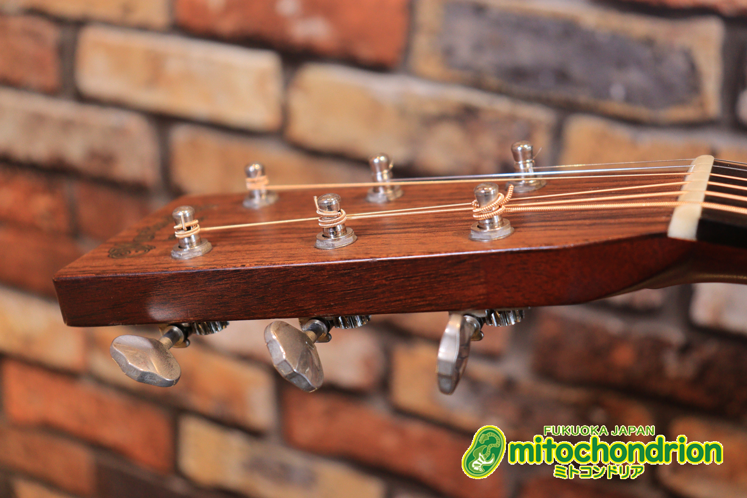 フィッシュマンのピックアップを搭載したOM28V！