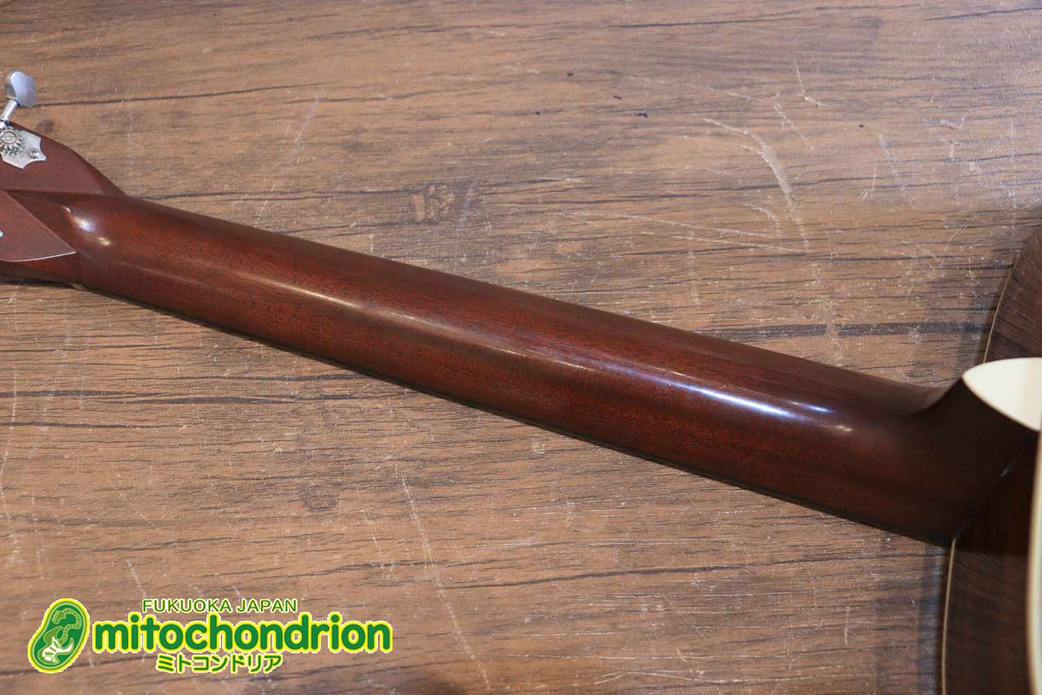 フィッシュマンのピックアップを搭載したOM28V！