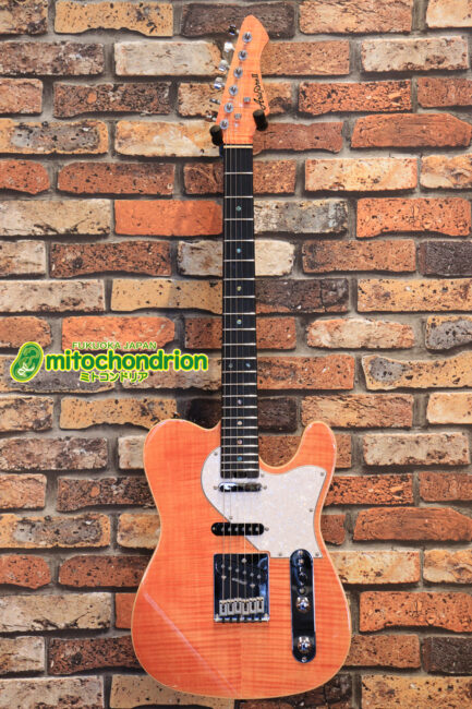 これから始める方にもお勧め！専用ギグケースが付属のテレキャスタータイプ！