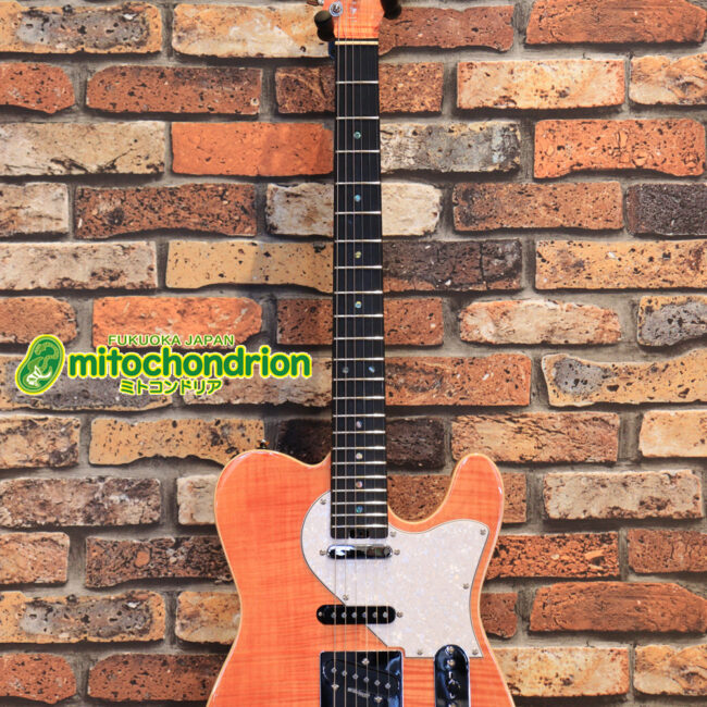 これから始める方にもお勧め！専用ギグケースが付属のテレキャスタータイプ！