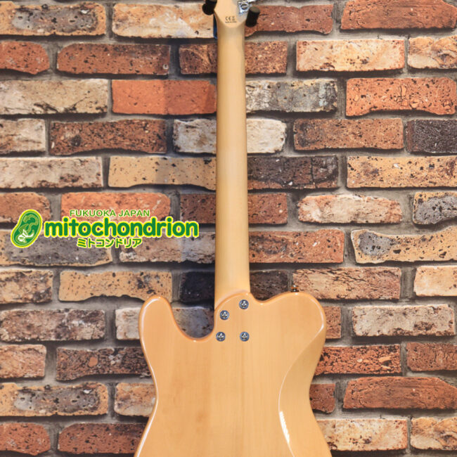 これから始める方にもお勧め！専用ギグケースが付属のテレキャスタータイプ！