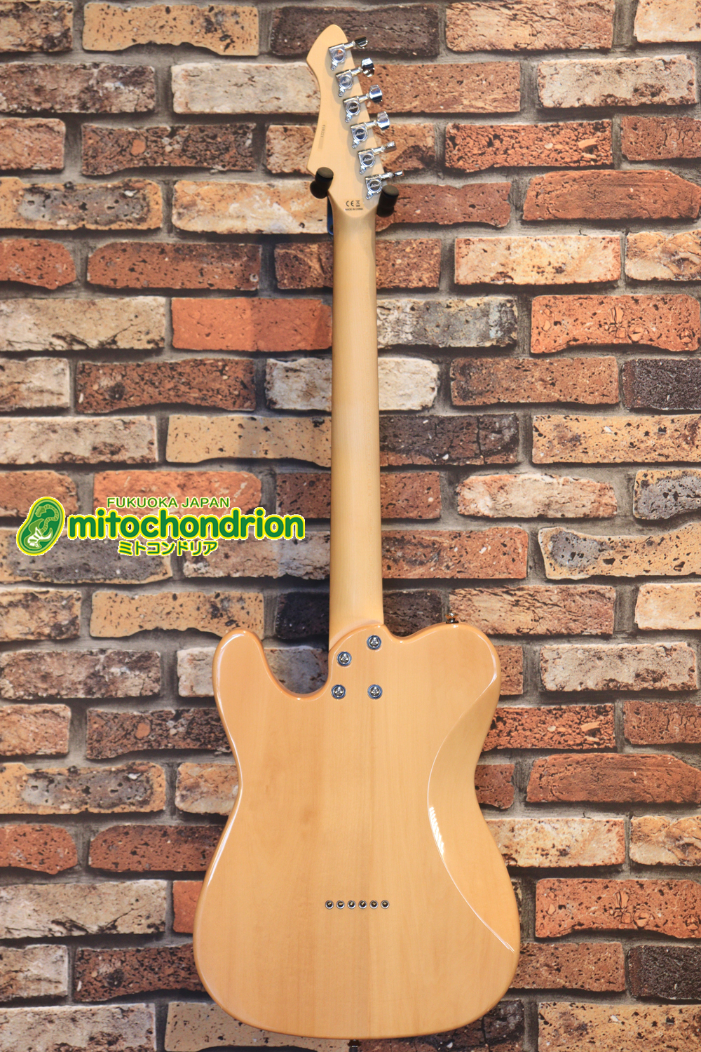 これから始める方にもお勧め！専用ギグケースが付属のテレキャスタータイプ！