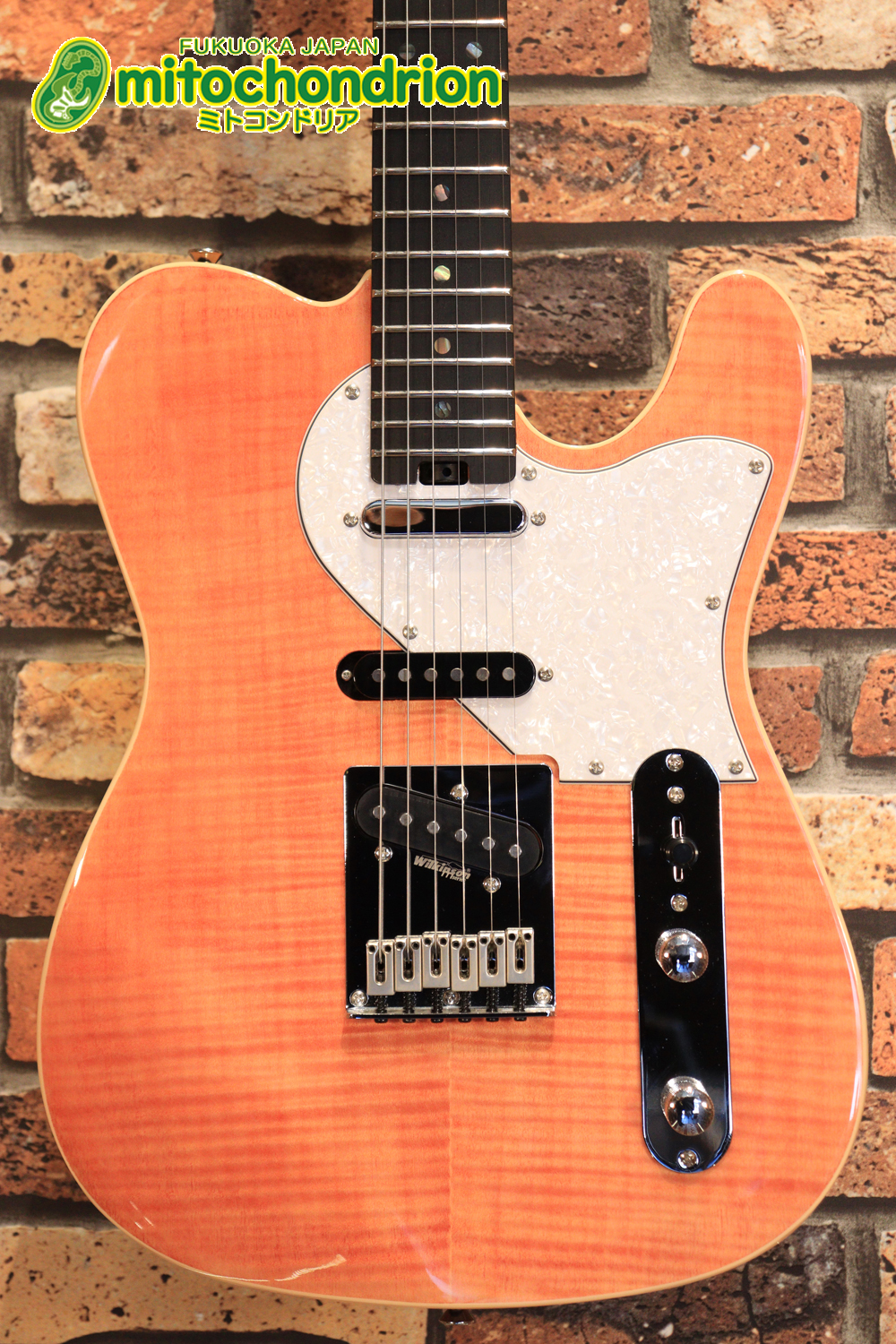 これから始める方にもお勧め！専用ギグケースが付属のテレキャスタータイプ！