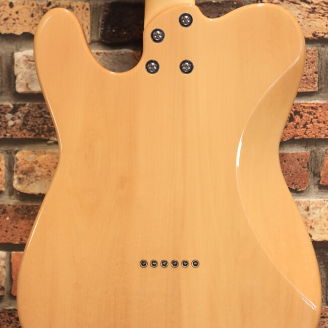 これから始める方にもお勧め！専用ギグケースが付属のテレキャスタータイプ！