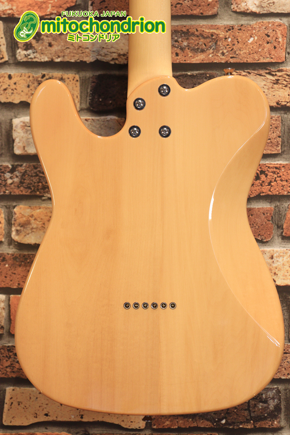 これから始める方にもお勧め！専用ギグケースが付属のテレキャスタータイプ！