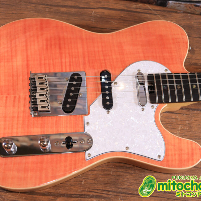 これから始める方にもお勧め！専用ギグケースが付属のテレキャスタータイプ！