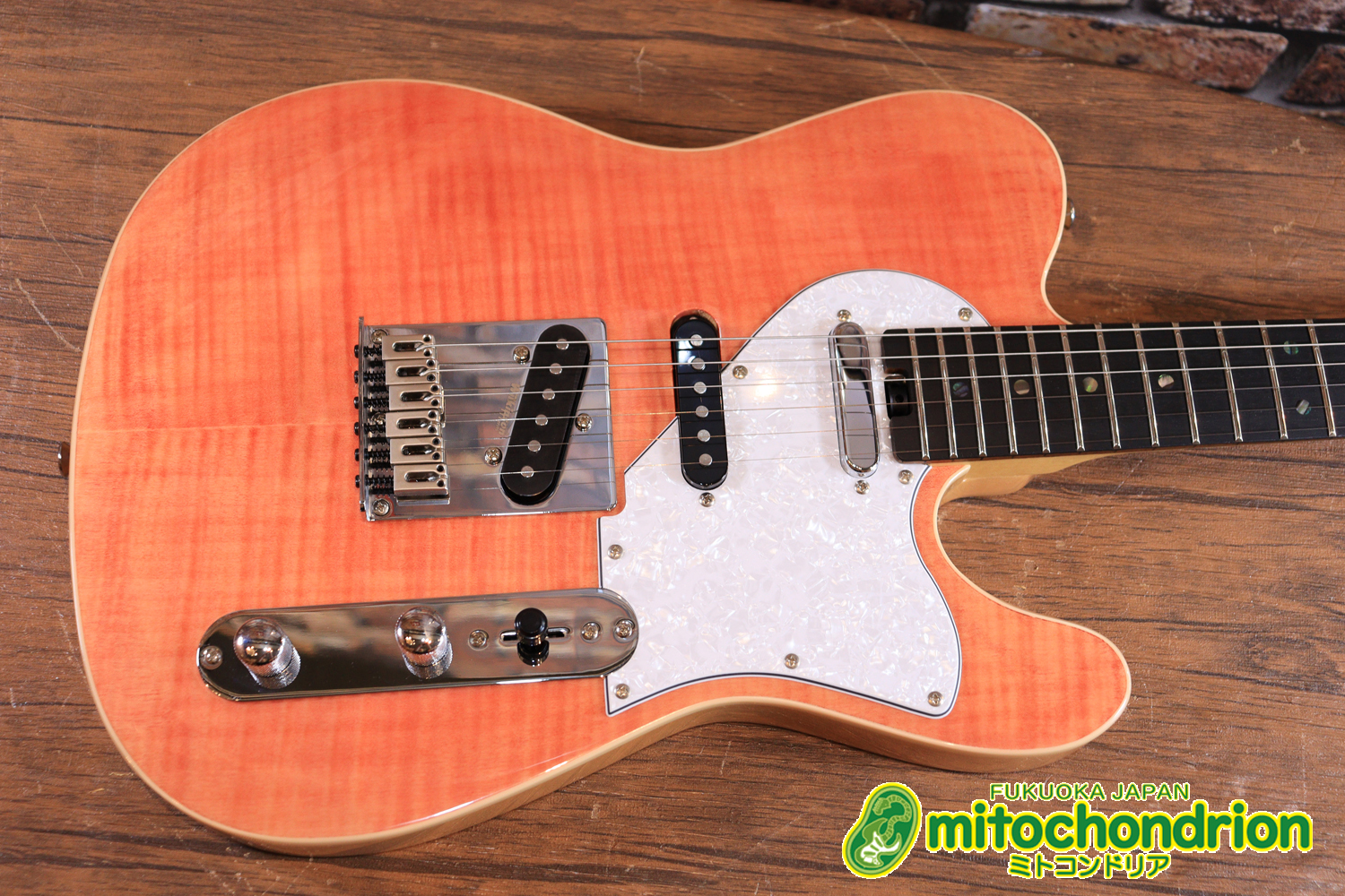 これから始める方にもお勧め！専用ギグケースが付属のテレキャスタータイプ！