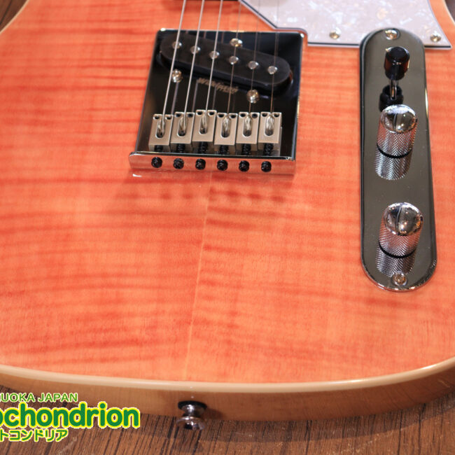 これから始める方にもお勧め！専用ギグケースが付属のテレキャスタータイプ！