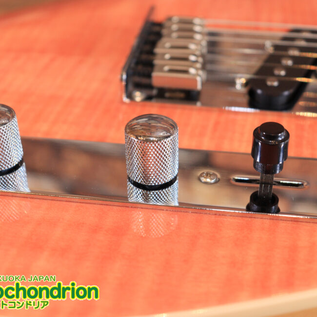 これから始める方にもお勧め！専用ギグケースが付属のテレキャスタータイプ！