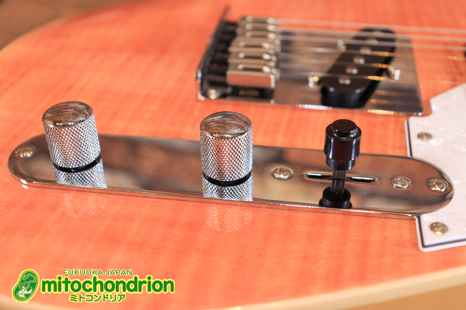 これから始める方にもお勧め！専用ギグケースが付属のテレキャスタータイプ！