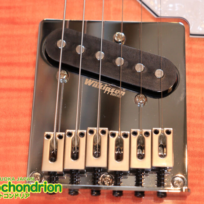 これから始める方にもお勧め！専用ギグケースが付属のテレキャスタータイプ！