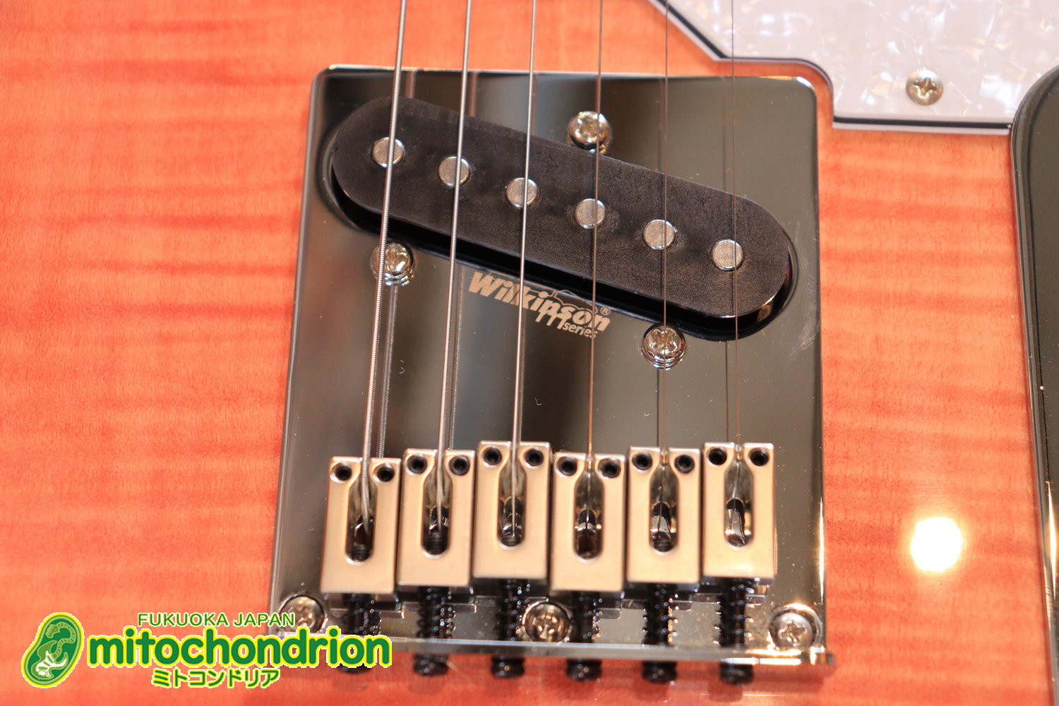 これから始める方にもお勧め！専用ギグケースが付属のテレキャスタータイプ！