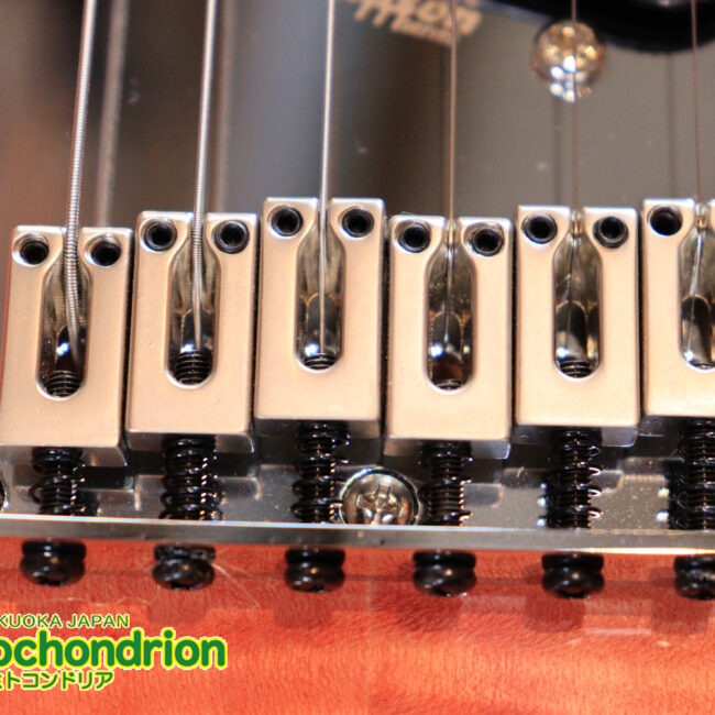 これから始める方にもお勧め！専用ギグケースが付属のテレキャスタータイプ！