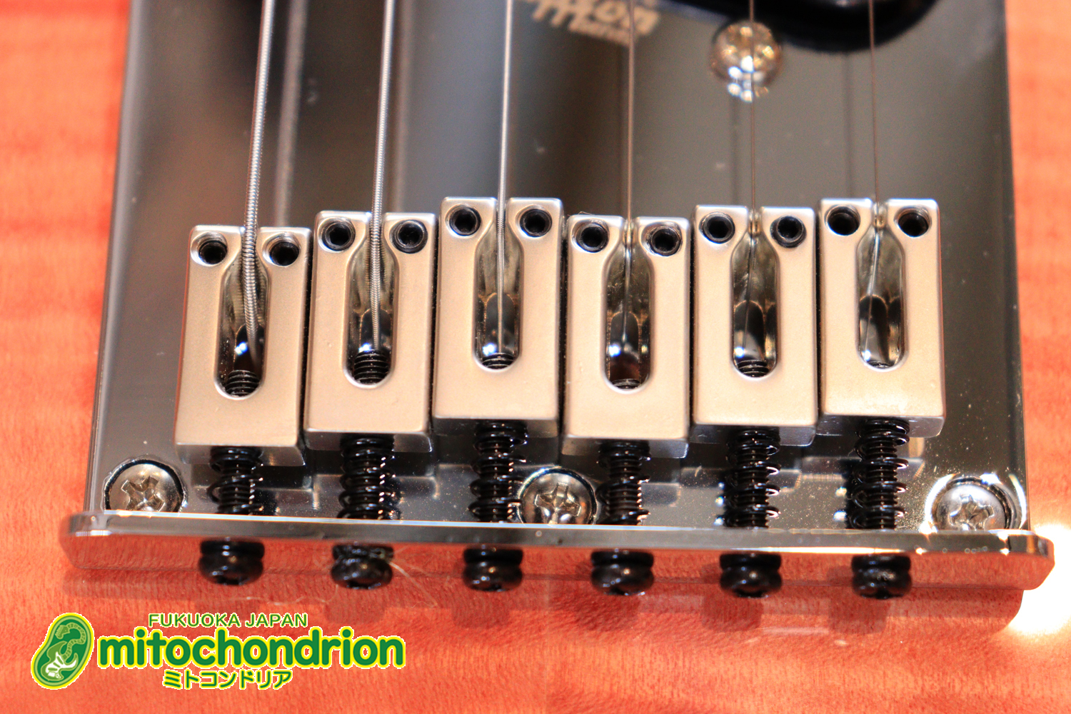 これから始める方にもお勧め！専用ギグケースが付属のテレキャスタータイプ！