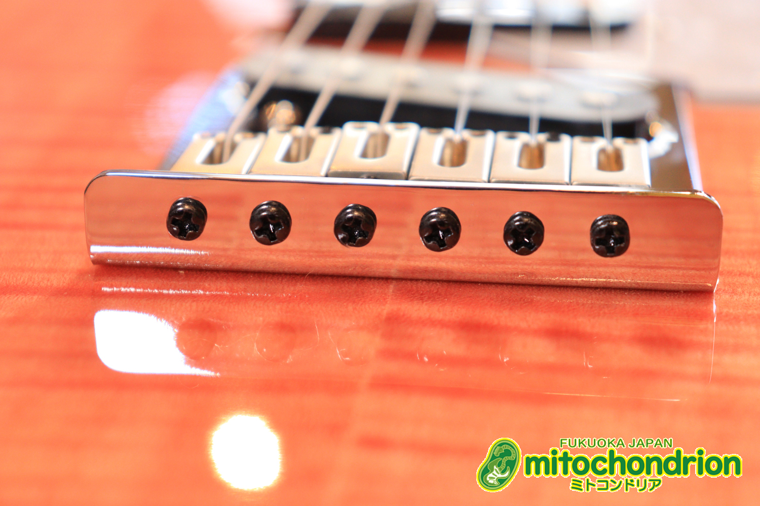 これから始める方にもお勧め！専用ギグケースが付属のテレキャスタータイプ！