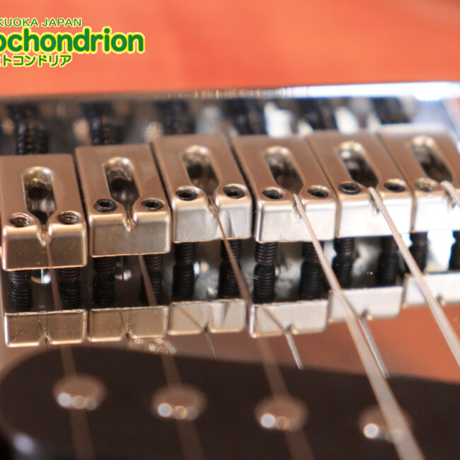 これから始める方にもお勧め！専用ギグケースが付属のテレキャスタータイプ！