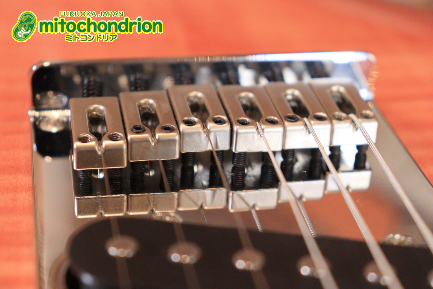 これから始める方にもお勧め！専用ギグケースが付属のテレキャスタータイプ！